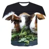 Herr t-shirts 2023 sommar- och kvinnors modetryck t-shirt 3d söt hamster avslappnad kortärmad topp