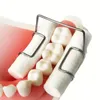 4 pz Dentale Rotolo di Cotone Clip Autoclavabile In Acciaio Inox Rotolo di Cotone Supporto della Clip Odontoiatria Laboratorio Forniture Isolatore Strumento Dentista Clinica