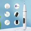 Ultrasonic Electric Oral Cleaner Kit, Dental Calculus Remover, Cleaning Whitening Flosser With 4 Cleaning Modes, Waterproof Whitening Teeth Brush Kit At Home