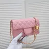 2023 Fashion Designer High Quality New Flap Bag Imported Sheepskin with Adjustable Chain Length Metal Ball Shoulder Bag Underarm Bag C1787