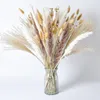 Fleurs décoratives 100pcs roseau pampa épis de blé queue herbe bouquet séché naturel décoration de mariage pour la fête bohème décor à la maison