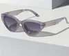 Vintage märke lyxiga kvinnors designer coola solglasögon för kvinnor nya män solglasögon för män inverterad triangel design svart heta kattögon solglasögon ins