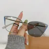 Sunglasses Glasses Butterfly 2023 Cat's Eye Frame Color Changing Anti Blue Light 9063