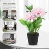 Decoratieve bloemen Nep-plantornamenten Kunstmatige versieringen Kunstplanten Bonsai voor binnen Realistische ingemaakte decoraties