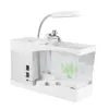 Tanks White Color USB Desktop Mini Aquarium Fish Tank med LED -ljus LCD -skärm och klockfisktankdekoration med småstenar