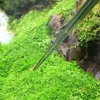 ツールvivステンレス鋼水生植物をトリミングするための水生生物のピーザーada品質