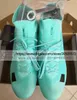 أرسل مع جودة حقيبة أحذية كرة القدم Zoom Superflys 9 Elite SG Metal Spikes ACC Socks Copbool Cleats Mens Mbappe Ronaldo Training Size Size Size Sovel Shoes US 6.5-12