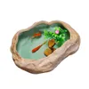 Terrariums Creative Retro Large Turtle Fish Tank Copper Money Grass Bowl Lotus Water Lily Nonporous Flower Pot Multifunction Tea Wash