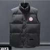 2024 Mens Puffer Vest Gilet Mensdesigner Winter Waistcoat Fashion Trend Couple Coat Feather Material Loose A6