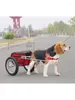 Köpek Taşıyıcı Küçük ve orta boy römork Sebze Araba Çekme Ürünleri İki Tekerlekli Yürüyüş Evcil