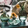 Vasi 3 pezzi Mini vaso creativo classico Vetro di alta qualità Trasparente Home Deco Soggiorno Bottiglie di reagenti Fiore all'ingrosso