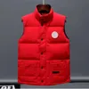 2024 Mens Puffer Vest Gilet Mensdesigner Winter Waistcoat Fashion Trend Couple Coat Feather Material Loose A6