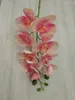 Dekorative Blumen, Flanell, künstliche 9 Schmetterlinge, Orchideenblüten, Heimdekoration, Haptik, Folie, 10 Stück