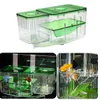 Tanks Fish Breeder Box Double Guppies Fish Breeding Isolation Box Aquarium Tank Baby Automatic Circulating Hatching Inkubator Aquarium