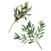 Dekorativa blommor eukalyptus stjälkar konstgjorda olivgrenhusdekorationer hem hushåll växt
