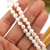 Strands Strings Ashiqi Natural Freshwater Pearl Choker Naszyjnik barokowy biżuteria dla kobiet ślub 925 srebrne zapięcie hurtowe 230426