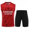 23 24 Saka Smith Rowe Training Wear Sleeve Kit Short Soccer Tierney Tierney White Thomas Gabriel Odegaard Martinelli Football Shirt Suit