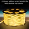 Strips Strip Light SMD Flexible Waterproof Ribbon Rope With EU Power Plug 60Led / M Bright Than LED StripsLED