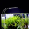 NICREW Lampada per acquario a LED super sottile Lampada a clip impermeabile per piante Coltiva l'illuminazione Lampada per illuminazione per piante acquatiche per acquario 10W