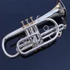 Cornet BB Flat Cornet Trumpet Instrument Silverpläterad trompeta med munstycke och bärfodral Musikinstrument Professional Professional