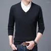 Men's Sweaters Wool Jumper 2024 Autum V Neck Fashion Brand Knit Chunky Knitted Pullover Sweater Men Casual Cashmere Winter Clothes