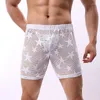 Underpants Low Rise Men's Sexy Underwear Boxers Shorts Mesh Transparent Japanese Youth Casual Comfort Cutout Gay Panties Male Pants