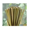 Dricker sugrör naturlig grön bambu gul karboniserad sts hälsa och miljöskydd Anpassningsbar graveringslogo DBC VT019 DHWDB
