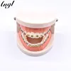 Outro modelo de tratamento ortodôntico dental de higiene oral com suporte de cerâmica de metal ortodôntico arco fio tubo bucal ligadura laços ferramentas dentárias laboratório de dentista 230425