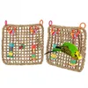 Other Bird Supplies Pet Parakeet Hanging Training Toy Seagrass Rope Parrot Chewing Swing Birds Exercise Net