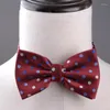 Bow Ties 2Pcs Men Tie Formal Adjustable Wedding Bowtie Groom For Tuxedo Butterfly Male Cravat