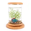 Tankar roterbara små fiskbehållare transparent glas akvarium mini prydnadsfisk skålar akvariumprodukter