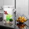 Tanks Paresseux changement d'eau gratuit bureau Aquarium Mini créatif or Aquarium petit plastique Betta poisson boîte Aquarium accessoires