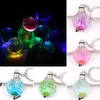 Keychains 16 stijlen Gedroogde bloem hanger Keychain Crystal Glass Ball Luminous Women Silver Main Sieraden Gift Lucky Key Accessoires