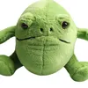 20/32 cm miękkie wypchane lalki Ricky Rain Frog Pluszowe zabawki Piękne okrągłe ciało żaba lalka dziecięce zabawki Plushie zielona żaba zabawka dla dzieci