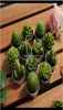 Decor Garden Drop Delivery 2021 12Pcs Cactus Cute Mini Set Artificial Succulent Plants Candles Home Decoration Candle Tea Light Xm2933363