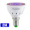 5pcs 5w 7w 9W LED أضواء النمو المصباح الكامل لمبة الطيف E27 220V مصباح مائي مائي ينمو الضوء للنبات الداخلي 230V Phyto Flower Lamp