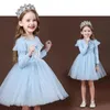 Robes de filles printemps automne robe de princesse à manches longues pour enfants vêtements Elsa congelé 310Y 231124