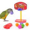Toys Bird Toys Pets Diy African Grey Papegoots Toys and Accessories Budgie Vogel Speelgoed Jouet Perroquet