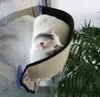 Коврики серый кот кровать окно высокий спальный мягкий подвесной гамак для окуня присоска котенок подоконник шезлонг уличная переноска собака кролик домашнее животное