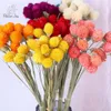 Decorative Flowers 15pcs Real Natural Dried Flower Strawberry Fruit Bouquet For DIY Home Country Decor Wedding Party Decoration Accessories