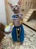 Kostümler Kedi Giysileri Tüysiz Kedi Sfinx Rahat Pamuk Kasık Pantolon Bloomers Pantolonlar Katten Giyim Kıyafet Kedi Anime Cosplay Kostüm