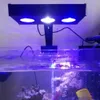 Verlichtingen LED Spectra Nano Aquarium Light 30W Zoutwaterverlichting met aanraakregeling voor Coral Reef Fish Tank US EU -plug