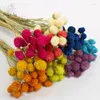 Decorative Flowers 15pcs Real Natural Dried Flower Strawberry Fruit Bouquet For DIY Home Country Decor Wedding Party Decoration Accessories