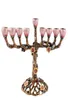 9 ramos Hanukkah Menorah castiçais árvore de flores castiçal antigo H220419258N8157957