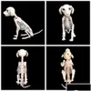 Party Dekoration Halloween Skeleton Dog Prop Tierknochen Shop Horror Skl Props Y201006 Drop Delivery Hausgarten Festliche Lieferungen Ev Dhbsg