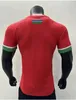 23 24 Gambia nationa voetbalshirts 2023 2024 thuis uitspeler versie Buitensport voetbalshirts