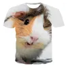 Herr t-skjortor sommarguinea gris 3d tryck t-shirt män kvinna hamster söt djur o-hals streetwear barn överdimensionerade harajuku tees toppar