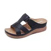 샌들 드롭 여성 Sandles Sandalias Mujer 2023 여성 검투사 여름