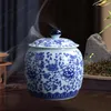 Bouteilles de stockage Pots de gingembre en porcelaine Décoration de style chinois ancien Vases à fleurs en céramique