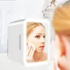 4L Cosmetics Fridge Mini Frigde LED Light Makeup Mirror Beauty Refrigerators Skincare Refrigerator For Home Car Travel Portable